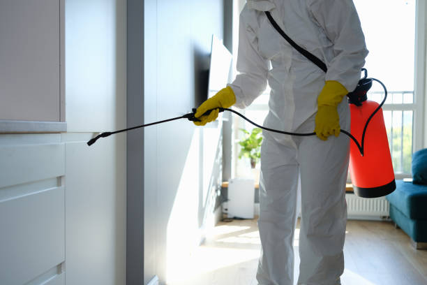 Best Emergency Mold Remediation  in Herald, CA
