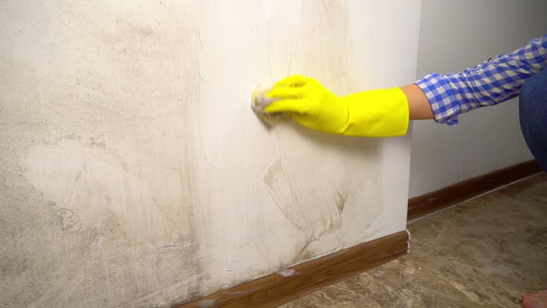 Best Residential Mold Inspection & Testing  in Herald, CA