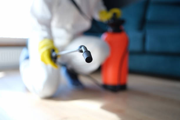 Best Mold Documentation for Insurance Claims  in Herald, CA