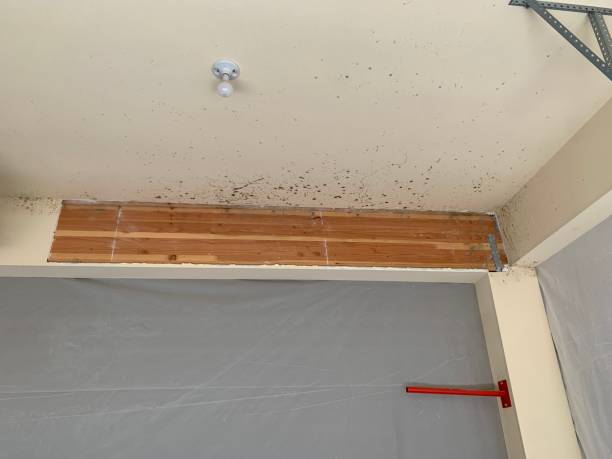 Best Air Quality Testing for Mold Spores  in Herald, CA