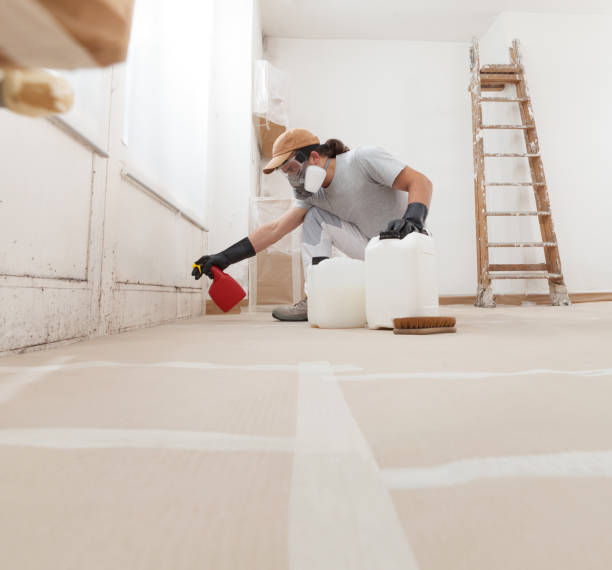 Best Forensic Mold Investigation  in Herald, CA